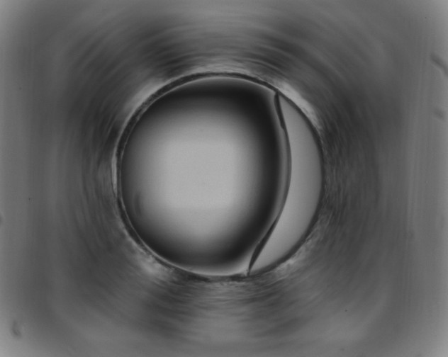 X0000097790988200803071408