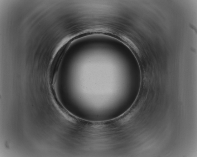 X0000097790989200803071408