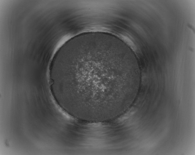 X0000097790990200803071408