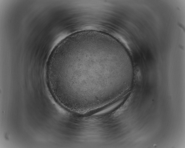 X0000097790991200803071408
