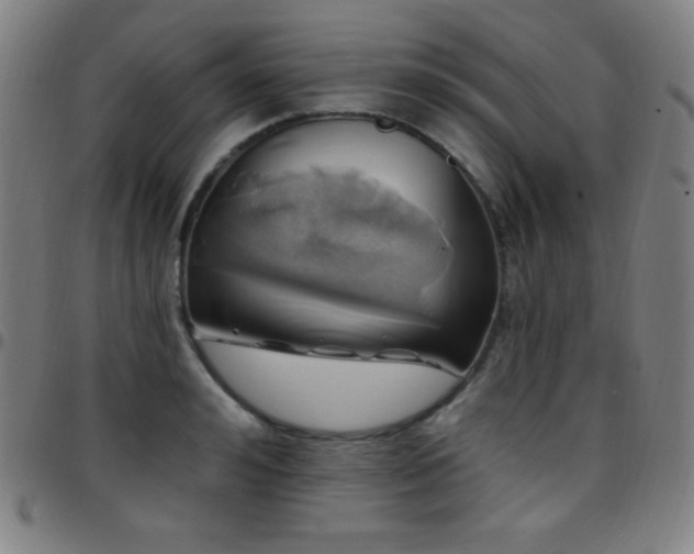 X0000097790992200803071408
