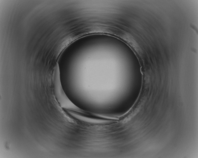 X0000097790993200803071408