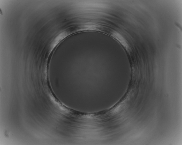 X0000097790994200803071408