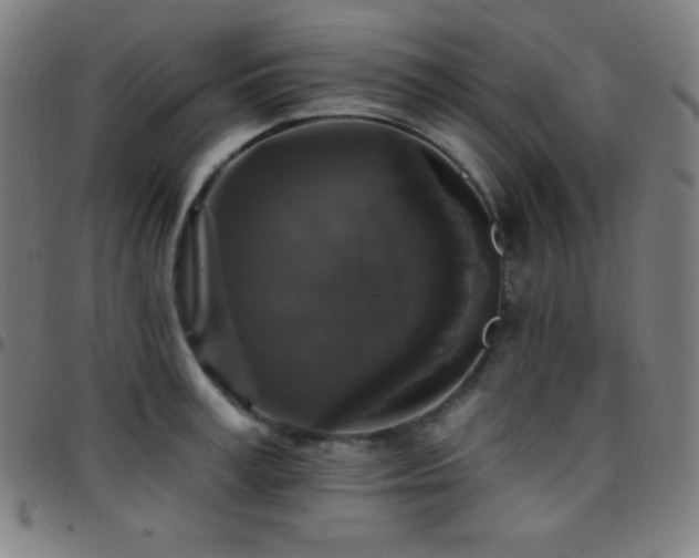 X0000097790995200803071408