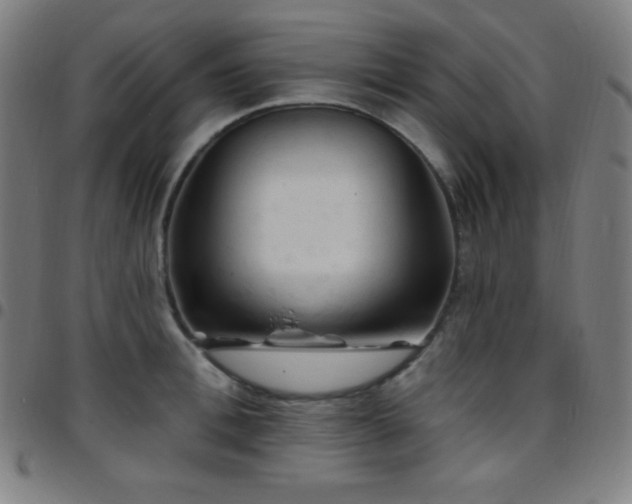 X0000097790996200803071408