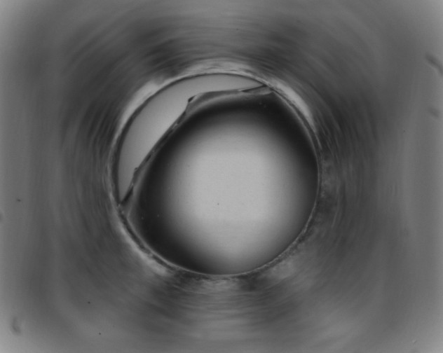X0000097790997200803071408