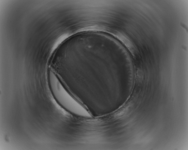 X0000097790998200803071408