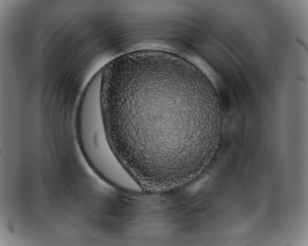 X0000097790999200803071408