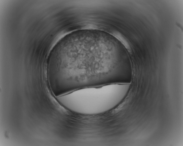 X0000097791000200803071408