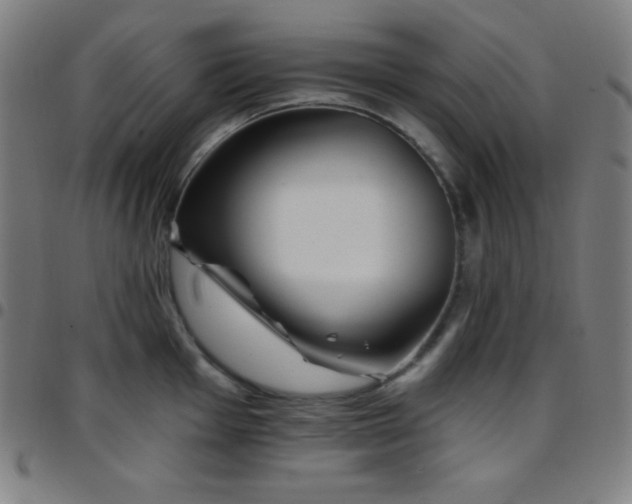 X0000097791001200803071408