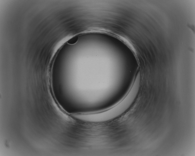 X0000097791003200803071408