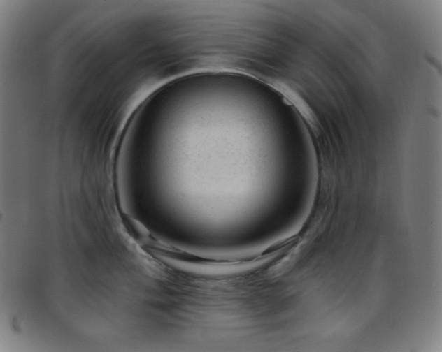 X0000097791004200803071408