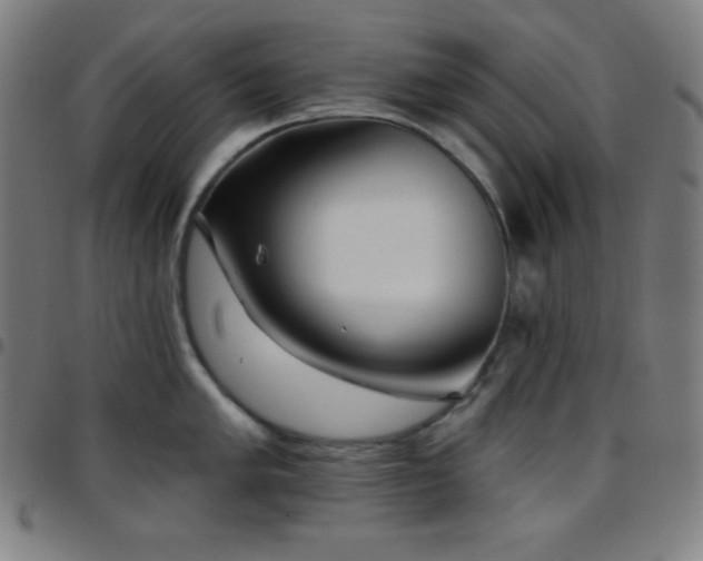X0000097791005200803071408
