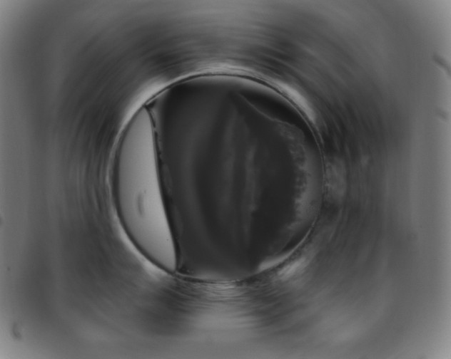 X0000097791007200803071408