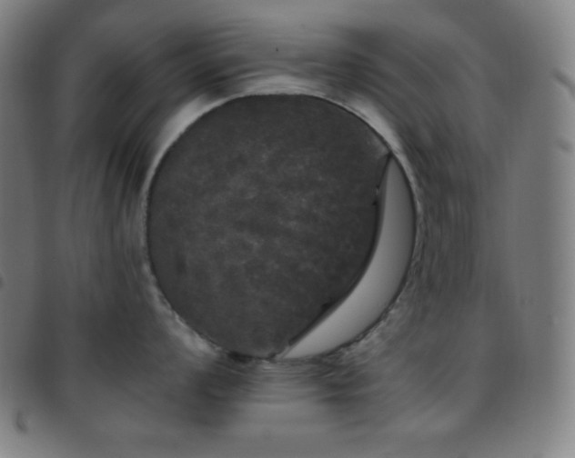 X0000097791008200803071408
