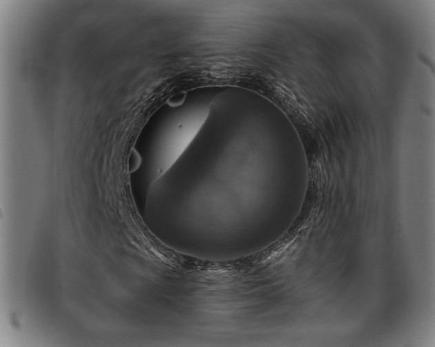 X0000097791009200803071407