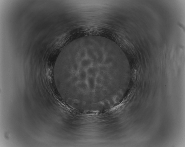 X0000097791010200803071407