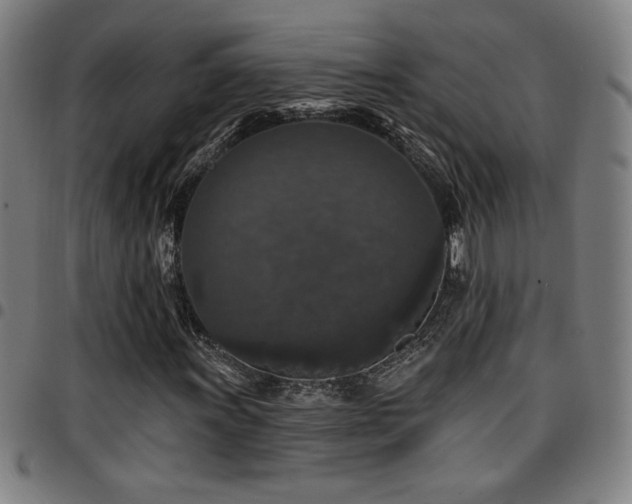 X0000097791011200803071407
