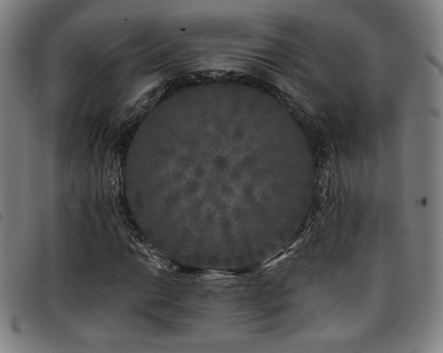 X0000097791014200803071407