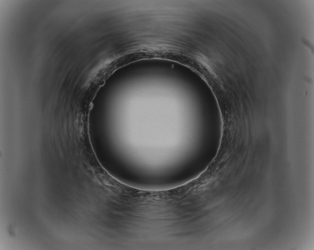 X0000097791016200803071407