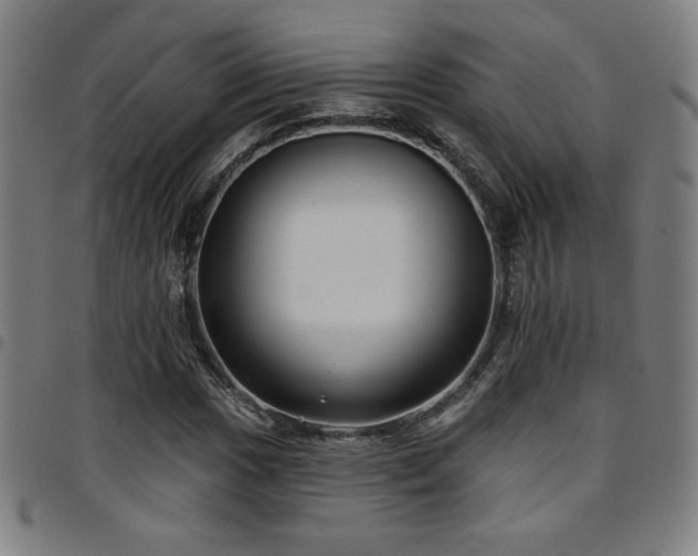 X0000097791017200803071407