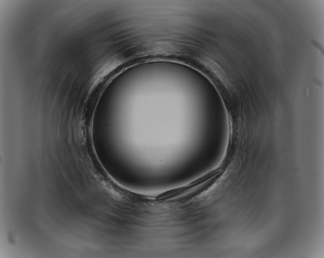 X0000097791018200803071407