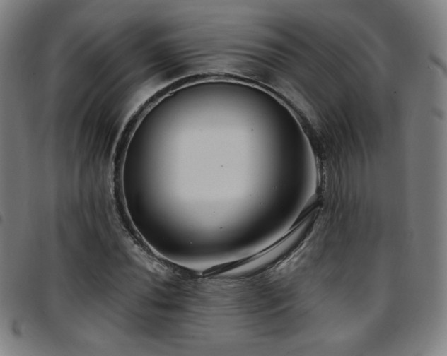 X0000097791020200803071407