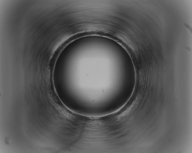 X0000097791021200803071407
