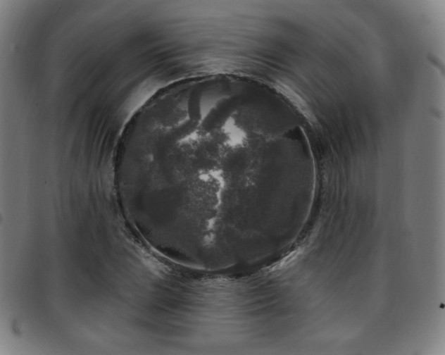 X0000097791023200803071407