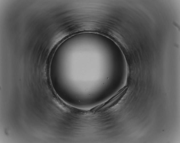 X0000097791026200803071407