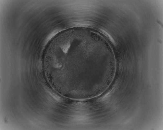 X0000097791027200803071407