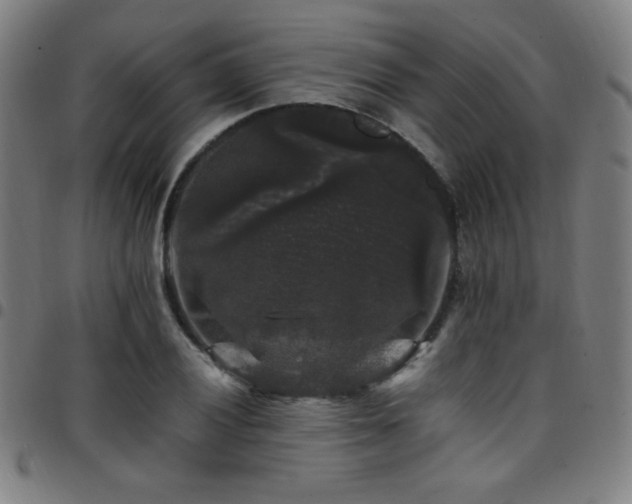 X0000097791028200803071407