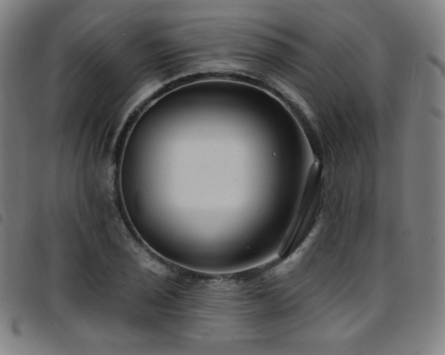 X0000097791029200803071407