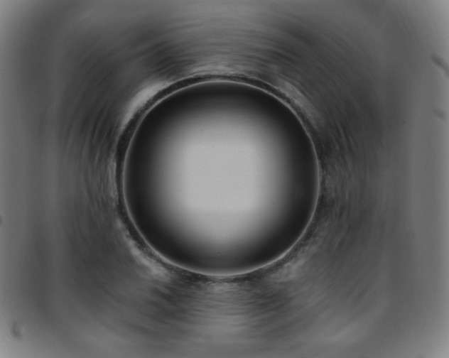 X0000097791030200803071408