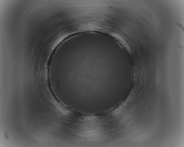 X0000097791031200803071408