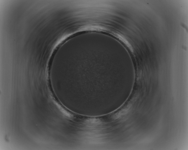 X0000097791037200803071408