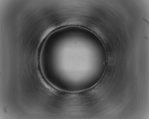 X0000097791038200803071408