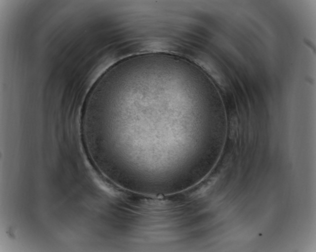 X0000097791039200803071408