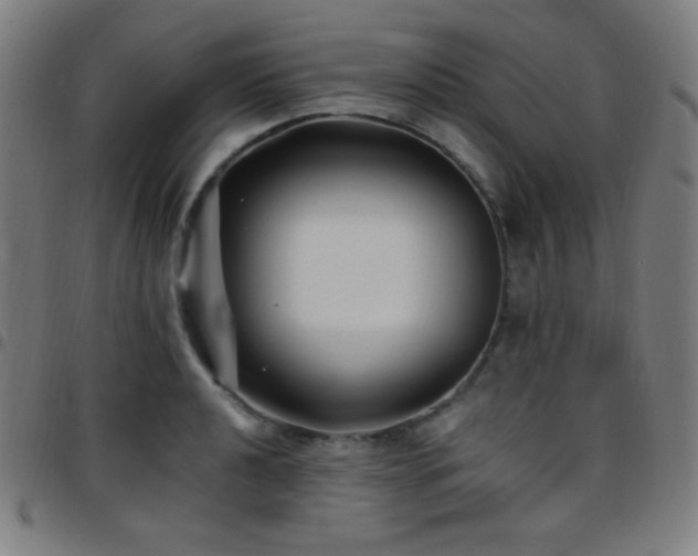 X0000097791040200803071408