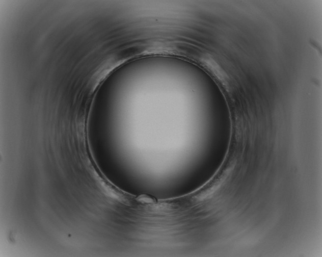 X0000097791041200803071408