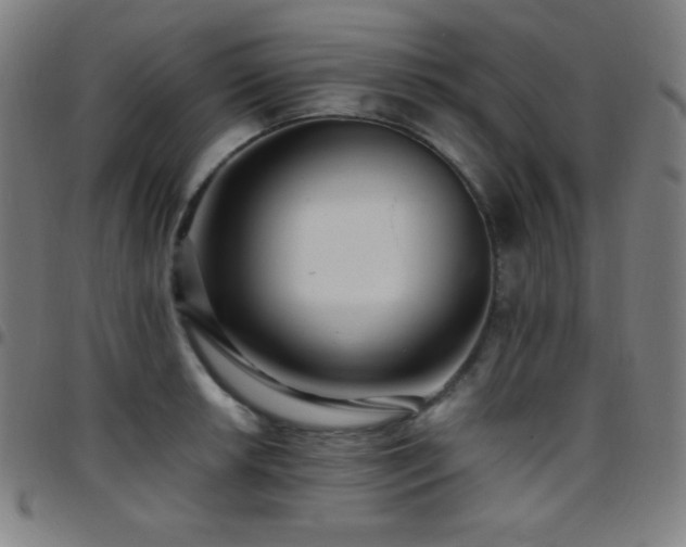 X0000097791042200803071408