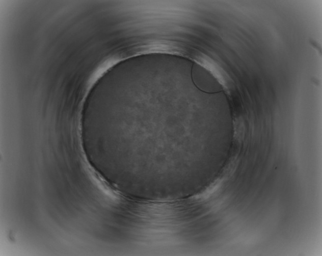 X0000097791043200803071408