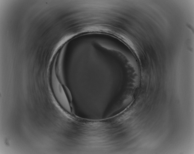 X0000097791045200803071408