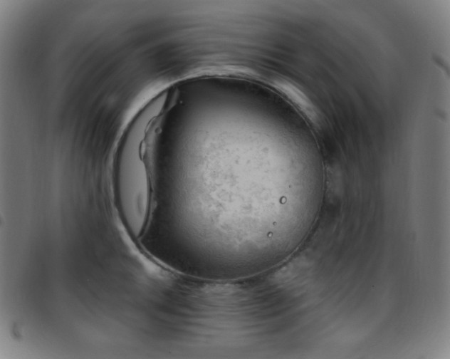 X0000097791046200803071408