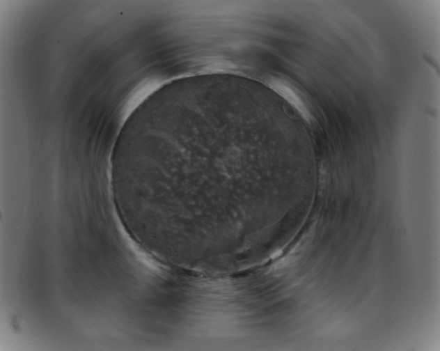 X0000097791047200803071408