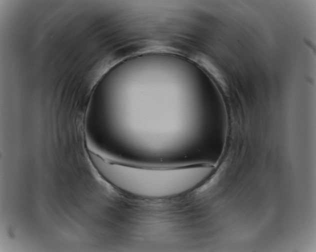 X0000097791049200803071408