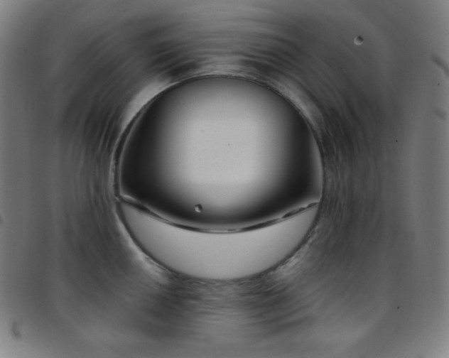 X0000097791050200803071408