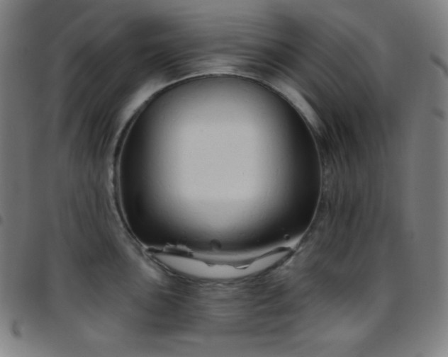 X0000097791051200803071408