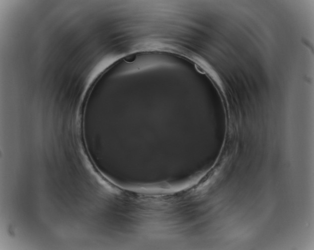 X0000097791053200803071408