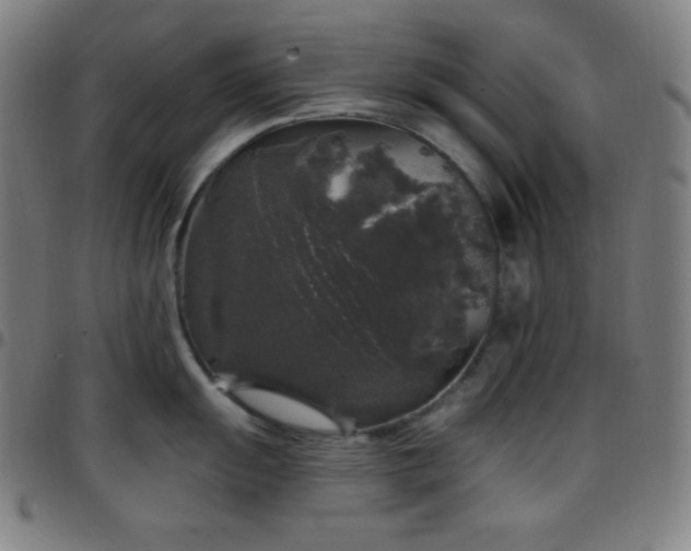 X0000097791055200803071408